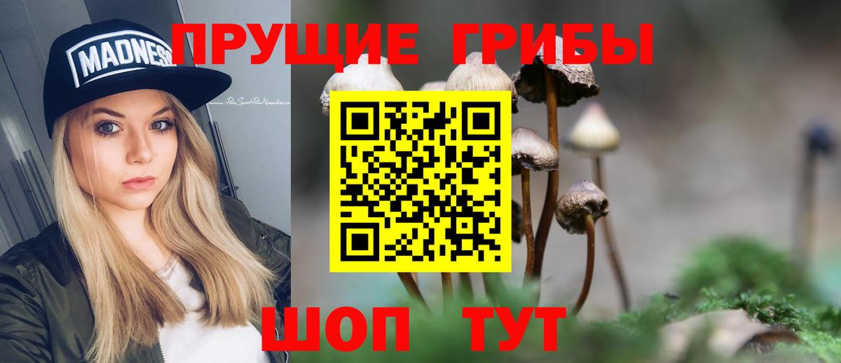 Галлюциногенные грибы Cubensis  Вход с VPN  Выборг  Галлюциногенные грибы ЛСД 